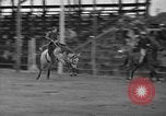 Standbild Broncobusters Arcadia Florida USA, 1941, aus Sekunde 22 historischem Filmmaterial Videoclip 65675053964