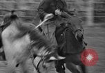 Standbild Broncobusters Arcadia Florida USA, 1941, aus Sekunde 27 historischem Filmmaterial Videoclip 65675053964