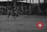 Standbild Broncobusters Arcadia Florida USA, 1941, aus Sekunde 34 historischem Filmmaterial Videoclip 65675053964