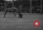 Standbild Broncobusters Arcadia Florida USA, 1941, aus Sekunde 35 historischem Filmmaterial Videoclip 65675053964