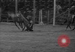Standbild Broncobusters Arcadia Florida USA, 1941, aus Sekunde 36 historischem Filmmaterial Videoclip 65675053964
