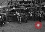 Standbild Broncobusters Arcadia Florida USA, 1941, aus Sekunde 38 historischem Filmmaterial Videoclip 65675053964