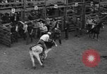 Standbild Broncobusters Arcadia Florida USA, 1941, aus Sekunde 39 historischem Filmmaterial Videoclip 65675053964