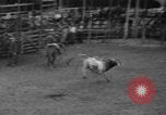 Standbild Broncobusters Arcadia Florida USA, 1941, aus Sekunde 41 historischem Filmmaterial Videoclip 65675053964