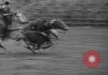 Standbild Broncobusters Arcadia Florida USA, 1941, aus Sekunde 45 historischem Filmmaterial Videoclip 65675053964