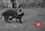 Standbild Broncobusters Arcadia Florida USA, 1941, aus Sekunde 53 historischem Filmmaterial Videoclip 65675053964