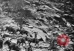 Immagine di British truppe africane Eritrea, 1941, secondo 4 filmato di repertorio 65675053968