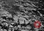 Immagine di British truppe africane Eritrea, 1941, secondo 5 filmato di repertorio 65675053968