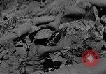 Immagine di British truppe africane Eritrea, 1941, secondo 15 filmato di repertorio 65675053968