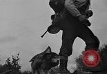 Image Planification de la route de l'Alaska Hazelton Canada, 1941, de la seconde 20 séquences d'archives historiques vidéo 65675053972