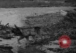 Image Planification de la route de l'Alaska Hazelton Canada, 1941, de la seconde 40 séquences d'archives historiques vidéo 65675053972