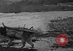 Image Planification de la route de l'Alaska Hazelton Canada, 1941, de la seconde 41 séquences d'archives historiques vidéo 65675053972