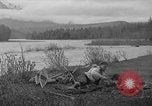 Image Planification de la route de l'Alaska Hazelton Canada, 1941, de la seconde 45 séquences d'archives historiques vidéo 65675053972