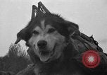 Image Planification de la route de l'Alaska Hazelton Canada, 1941, de la seconde 50 séquences d'archives historiques vidéo 65675053972