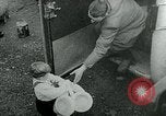 Immagine di Persone evacuare bombardato fuori città tedesca Germania, 1944, secondo 28 filmato di repertorio 65675053986
