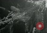 Standbild Hitler Jugend Deutschland, 1944, aus Sekunde 36 historischem Filmmaterial Videoclip 65675053987