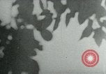 Image of German Volksgrenadiers Aachen Germany, 1944, second 51 stock footage video 65675053989