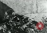 Image of Adolf Hitler Germany, 1941, second 20 stock footage video 65675053992