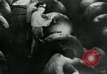 Standbild Deutsche Schiffe Ostsee, 1940, aus Sekunde 34 historischem Filmmaterial Videoclip 65675053994