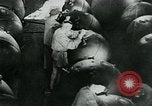 Standbild Deutsche Schiffe Ostsee, 1940, aus Sekunde 35 historischem Filmmaterial Videoclip 65675053994