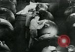 Standbild Deutsche Schiffe Ostsee, 1940, aus Sekunde 36 historischem Filmmaterial Videoclip 65675053994