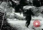 Immagine di Il tedesco rocket barrage Germania, 1944, secondo 5 filmato di repertorio 65675053998