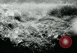 Image of German tanks Germany, 1944, second 3 stock footage video 65675053999