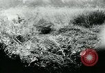 Image of German tanks Germany, 1944, second 4 stock footage video 65675053999