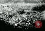 Image of German tanks Germany, 1944, second 5 stock footage video 65675053999