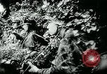 Image of German tanks Germany, 1944, second 6 stock footage video 65675053999