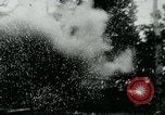 Image of German tanks Germany, 1944, second 19 stock footage video 65675053999