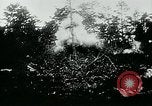 Image of German tanks Germany, 1944, second 24 stock footage video 65675053999