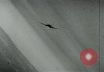 Image of Allied war planes Germany, 1944, second 8 stock footage video 65675054001