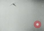 Image of Allied war planes Germany, 1944, second 21 stock footage video 65675054001