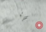 Image of Allied war planes Germany, 1944, second 24 stock footage video 65675054001