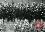 Image of Allied war planes Germany, 1944, second 37 stock footage video 65675054001