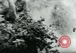 Immagine di Il tedesco veicoli blindati Francia, 1944, secondo 14 filmato di repertorio 65675054004