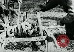 Immagine di Il tedesco veicoli blindati Francia, 1944, secondo 23 filmato di repertorio 65675054004