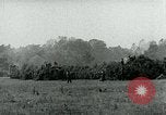 Immagine di Il tedesco veicoli blindati Francia, 1944, secondo 54 filmato di repertorio 65675054004