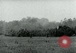 Immagine di Il tedesco veicoli blindati Francia, 1944, secondo 55 filmato di repertorio 65675054004