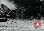Immagine di Il tedesco veicoli blindati Francia, 1944, secondo 60 filmato di repertorio 65675054004