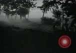 Immagine di Aerei tedeschi bomba posizioni sovietica Fronte orientale teatro europeo, 1944, secondo 53 filmato di repertorio 65675054006
