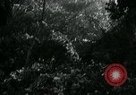 Image of Battle of Monte Cassino Italy, 1944, second 19 stock footage video 65675054012