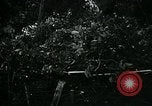 Image of Battle of Monte Cassino Italy, 1944, second 22 stock footage video 65675054012