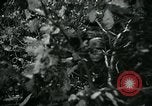 Image of Battle of Monte Cassino Italy, 1944, second 23 stock footage video 65675054012