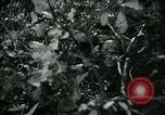 Image of Battle of Monte Cassino Italy, 1944, second 24 stock footage video 65675054012