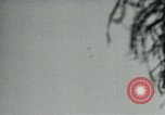 Image of Battle of Monte Cassino Italy, 1944, second 41 stock footage video 65675054012