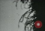 Image of Battle of Monte Cassino Italy, 1944, second 42 stock footage video 65675054012