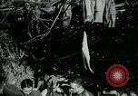Image of Battle of Monte Cassino Italy, 1944, second 49 stock footage video 65675054012