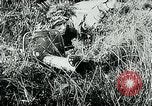 Image of German infantry Western Front European Theater, 1944, second 35 stock footage video 65675054014